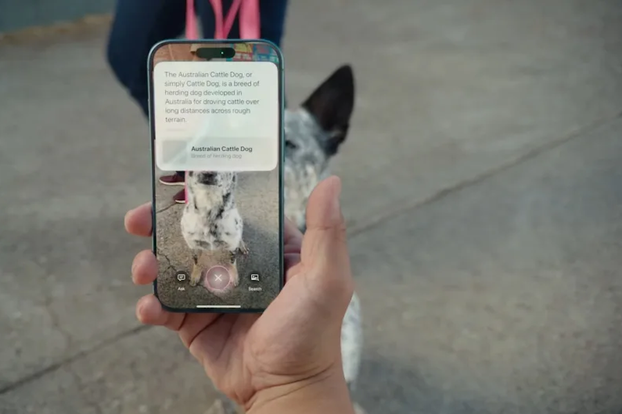 Как iPhone 16 распознает образы